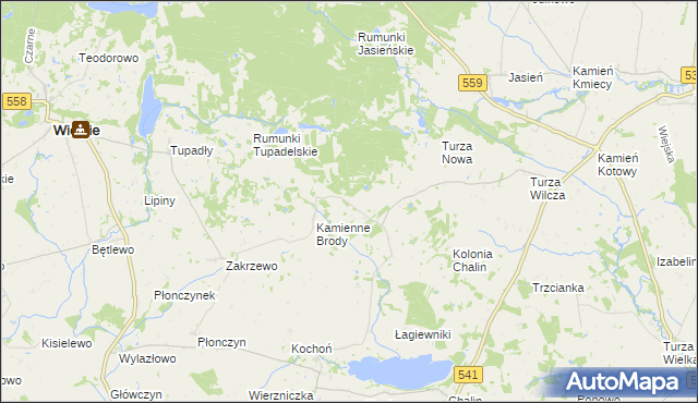 mapa Borowo gmina Tłuchowo, Borowo gmina Tłuchowo na mapie Targeo