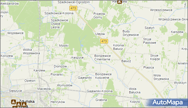 mapa Borszewice Cmentarne, Borszewice Cmentarne na mapie Targeo