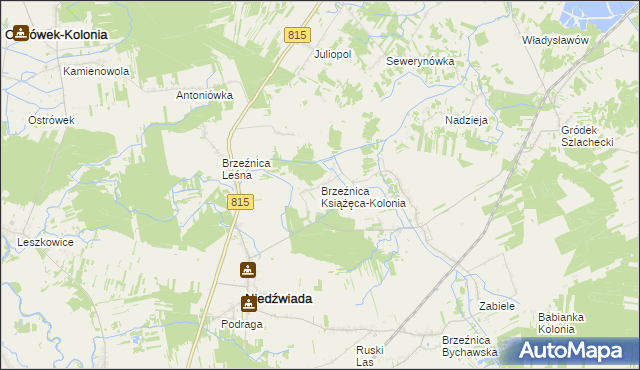 mapa Brzeźnica Książęca-Kolonia, Brzeźnica Książęca-Kolonia na mapie Targeo