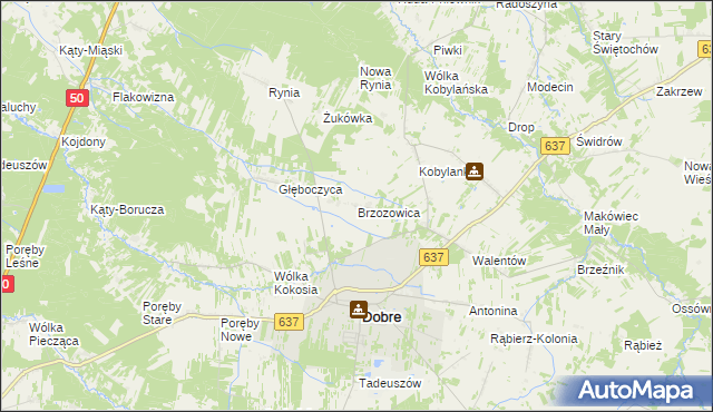 mapa Brzozowica gmina Dobre, Brzozowica gmina Dobre na mapie Targeo