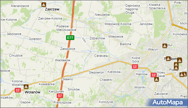mapa Cerekiew gmina Zakrzew, Cerekiew gmina Zakrzew na mapie Targeo