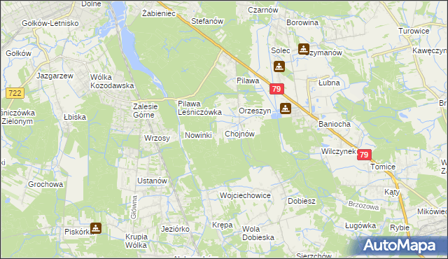 mapa Chojnów gmina Piaseczno, Chojnów gmina Piaseczno na mapie Targeo