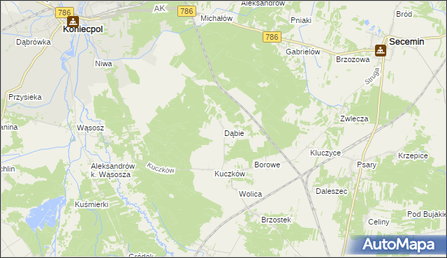 mapa Dąbie gmina Secemin, Dąbie gmina Secemin na mapie Targeo