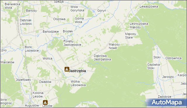 mapa Dąbrowa Jastrzębska, Dąbrowa Jastrzębska na mapie Targeo