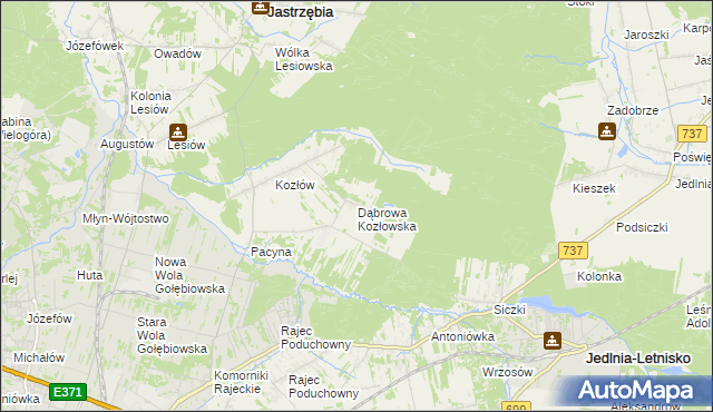 mapa Dąbrowa Kozłowska, Dąbrowa Kozłowska na mapie Targeo