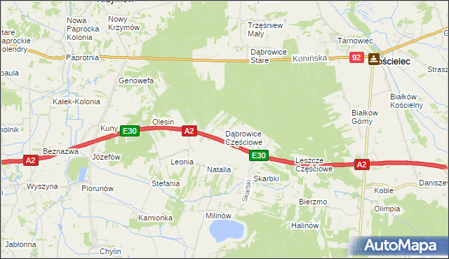 mapa Dąbrowice Częściowe, Dąbrowice Częściowe na mapie Targeo