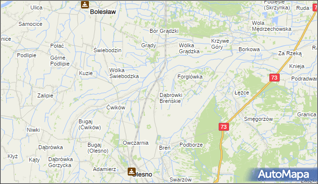 mapa Dąbrówki Breńskie, Dąbrówki Breńskie na mapie Targeo