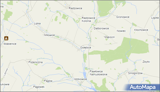 mapa Gołębice, Gołębice na mapie Targeo