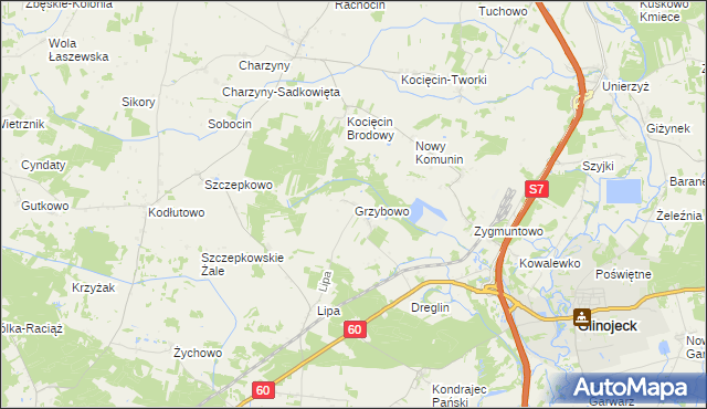 mapa Grzybowo gmina Raciąż, Grzybowo gmina Raciąż na mapie Targeo