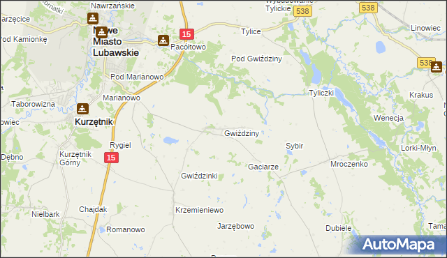 mapa Gwiździny gmina Nowe Miasto Lubawskie, Gwiździny gmina Nowe Miasto Lubawskie na mapie Targeo