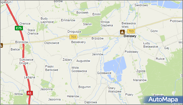 mapa Janinów gmina Bielawy, Janinów gmina Bielawy na mapie Targeo