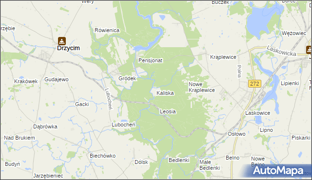 mapa Kaliska gmina Drzycim, Kaliska gmina Drzycim na mapie Targeo