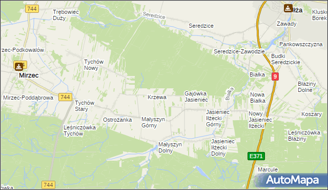 mapa Krzewa gmina Mirzec, Krzewa gmina Mirzec na mapie Targeo
