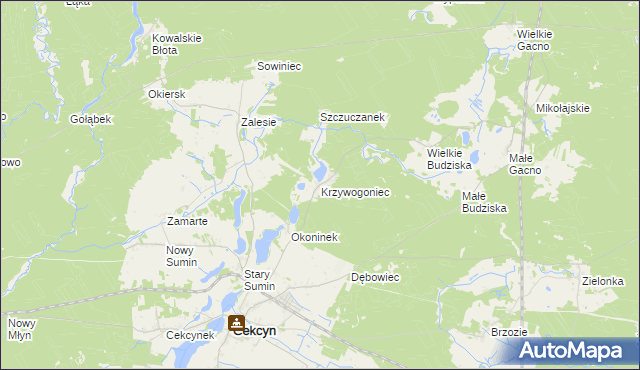 mapa Krzywogoniec, Krzywogoniec na mapie Targeo