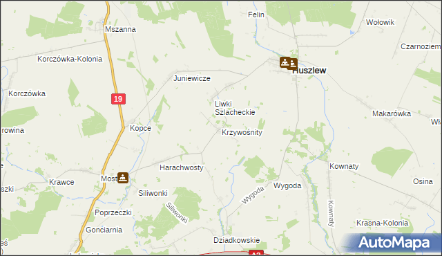 mapa Krzywośnity, Krzywośnity na mapie Targeo