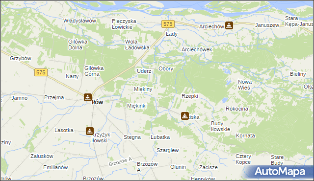 mapa Leśniaki gmina Iłów, Leśniaki gmina Iłów na mapie Targeo