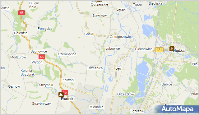 mapa Ligota Książęca gmina Rudnik, Ligota Książęca gmina Rudnik na mapie Targeo