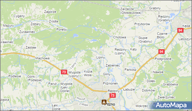 mapa Lipiny gmina Pilzno, Lipiny gmina Pilzno na mapie Targeo