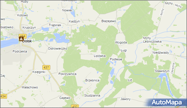 mapa Lipówka gmina Dolsk, Lipówka gmina Dolsk na mapie Targeo