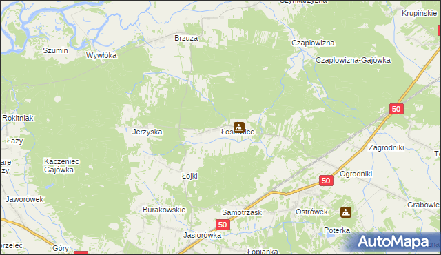 mapa Łosiewice, Łosiewice na mapie Targeo