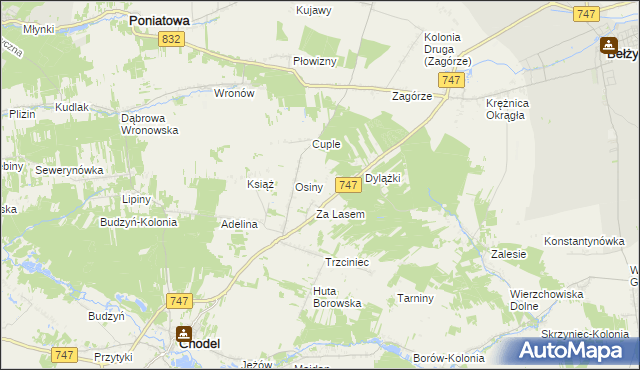 mapa Malinowszczyzna gmina Bełżyce, Malinowszczyzna gmina Bełżyce na mapie Targeo