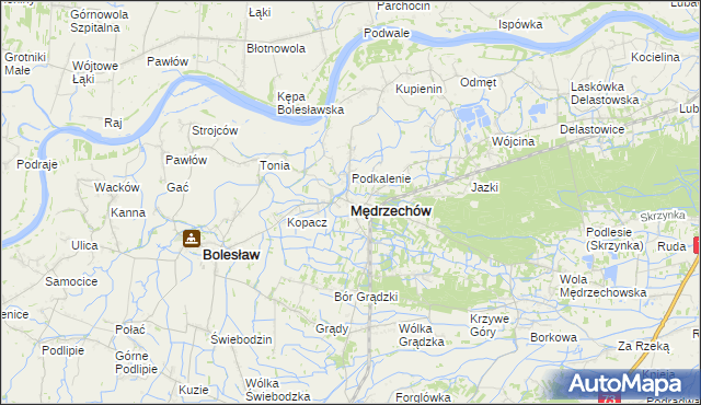 mapa Mędrzechów, Mędrzechów na mapie Targeo