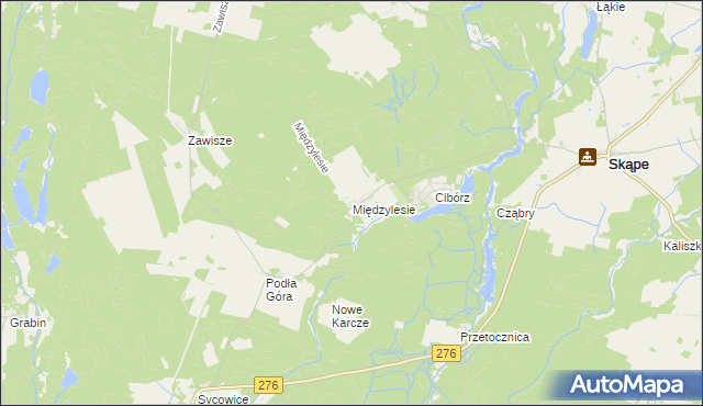 mapa Międzylesie gmina Skąpe, Międzylesie gmina Skąpe na mapie Targeo