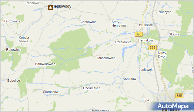 mapa Muszkowice, Muszkowice na mapie Targeo