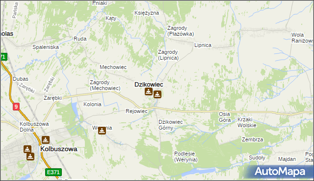 mapa Nowy Dzikowiec, Nowy Dzikowiec na mapie Targeo