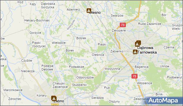 mapa Oleśnica gmina Olesno, Oleśnica gmina Olesno na mapie Targeo