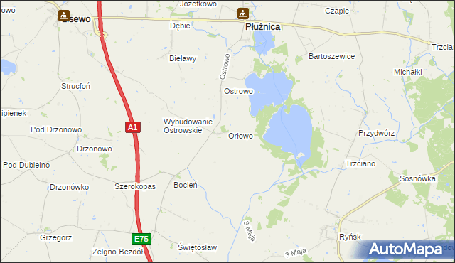 mapa Orłowo gmina Płużnica, Orłowo gmina Płużnica na mapie Targeo