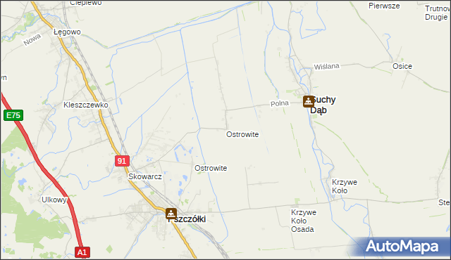 mapa Ostrowite gmina Suchy Dąb, Ostrowite gmina Suchy Dąb na mapie Targeo