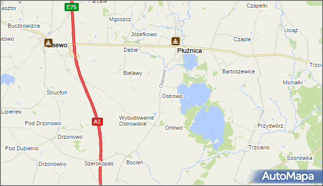 mapa Ostrowo gmina Płużnica, Ostrowo gmina Płużnica na mapie Targeo