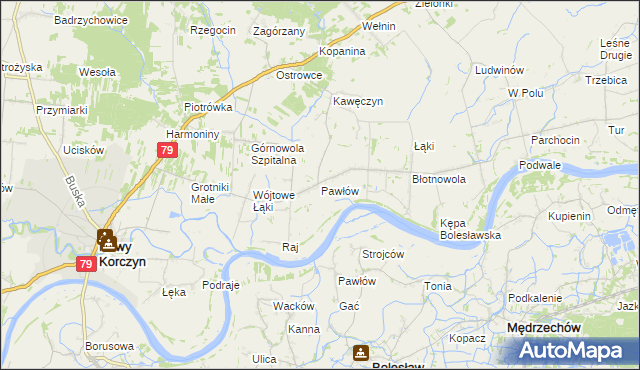 mapa Pawłów gmina Nowy Korczyn, Pawłów gmina Nowy Korczyn na mapie Targeo