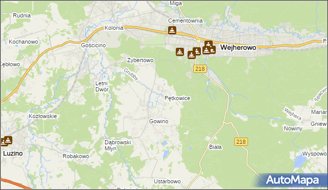 mapa Pętkowice gmina Wejherowo, Pętkowice gmina Wejherowo na mapie Targeo