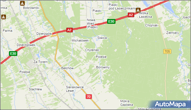 mapa Polesie gmina Nieborów, Polesie gmina Nieborów na mapie Targeo