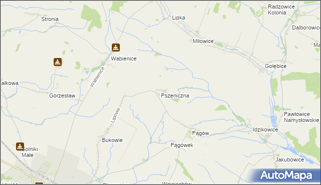 mapa Pszeniczna, Pszeniczna na mapie Targeo