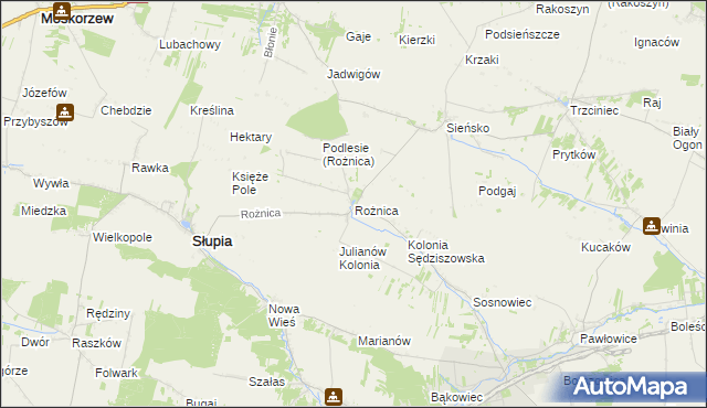 mapa Rożnica, Rożnica na mapie Targeo