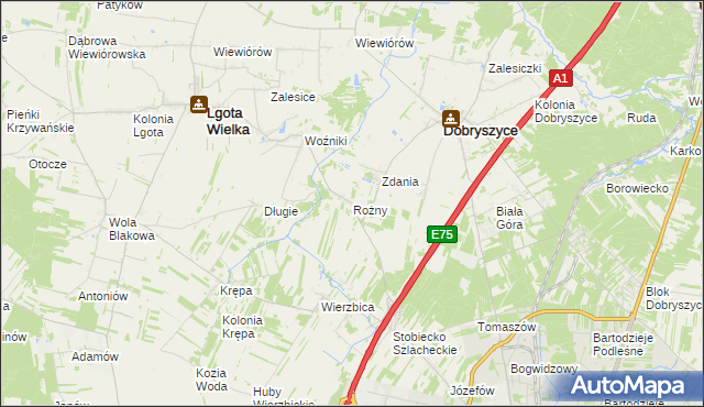 mapa Rożny, Rożny na mapie Targeo