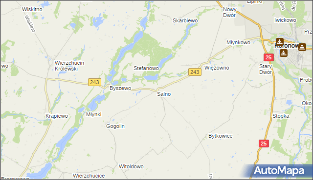 mapa Salno gmina Koronowo, Salno gmina Koronowo na mapie Targeo