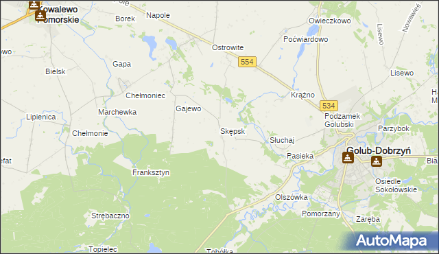 mapa Skępsk, Skępsk na mapie Targeo