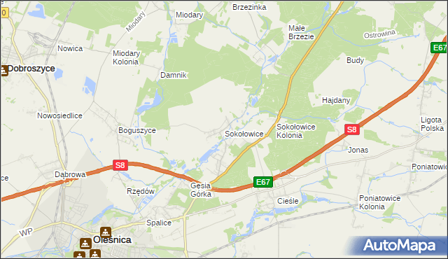 mapa Sokołowice gmina Oleśnica, Sokołowice gmina Oleśnica na mapie Targeo