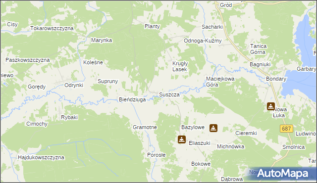 mapa Suszcza, Suszcza na mapie Targeo