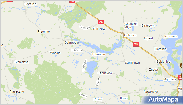 mapa Tchórzno, Tchórzno na mapie Targeo