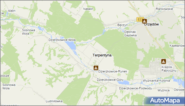 mapa Terpentyna, Terpentyna na mapie Targeo