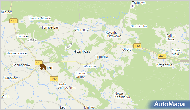 mapa Toporów gmina Gizałki, Toporów gmina Gizałki na mapie Targeo