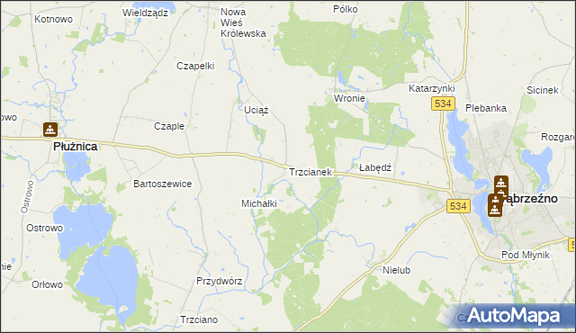 mapa Trzcianek, Trzcianek na mapie Targeo