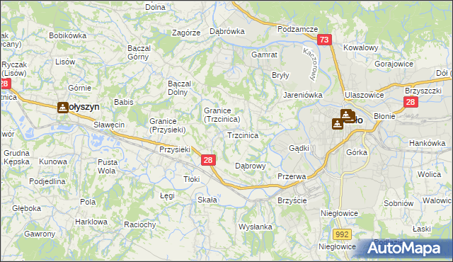 mapa Trzcinica gmina Jasło, Trzcinica gmina Jasło na mapie Targeo