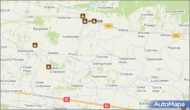 mapa Trzciniec gmina Leszno, Trzciniec gmina Leszno na mapie Targeo