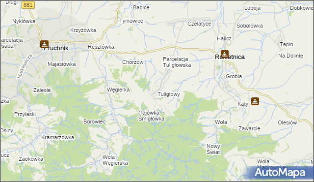 mapa Tuligłowy gmina Rokietnica, Tuligłowy gmina Rokietnica na mapie Targeo